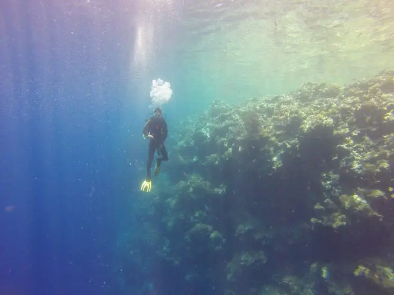 What Happens If You Descend Too Fast While Diving OpenWaterHQ