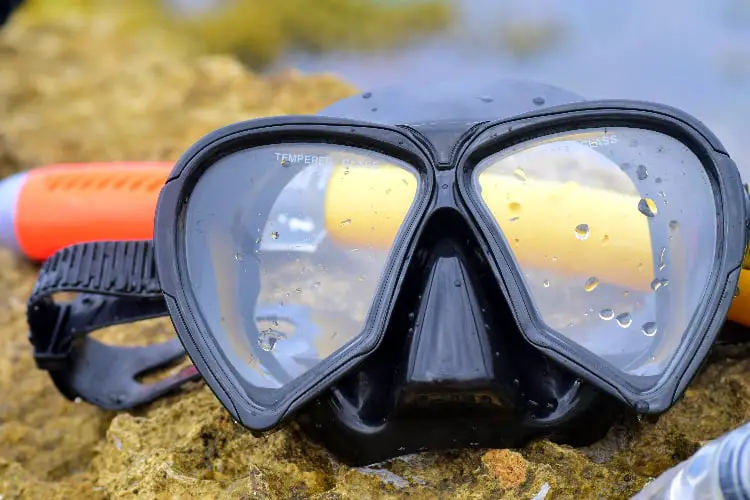 snorkeling equipment