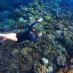 How Does Snorkeling Affect Coral Reefs?