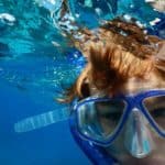 Do You Need to Know How to Swim to Snorkel?