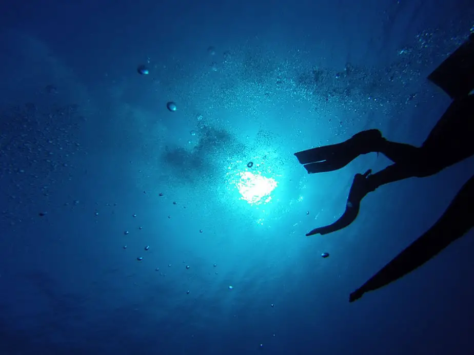 split fins for snorkeling