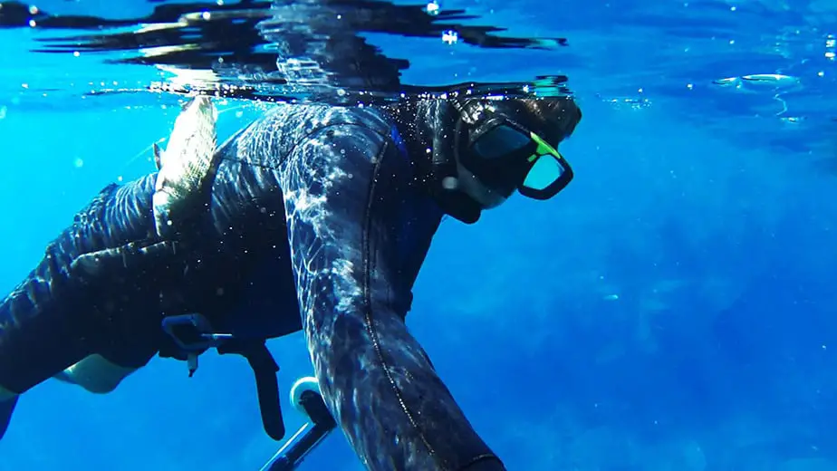 Labrax Weight Rubber Belt Stainless Steel Buckle Snorkeling Diving Weight Waist Belt for Free Diving