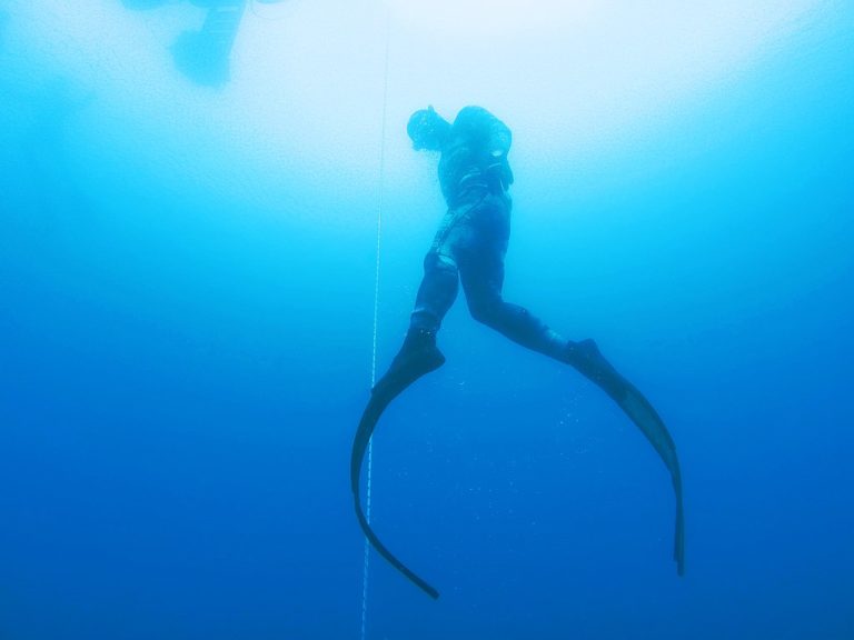 Beginner's Guide to Constant Weight Freediving (CWT) OpenWaterHQ