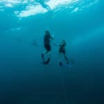 how to correctly weight yourself for freediving and spearfishing
