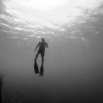 freediving deaths