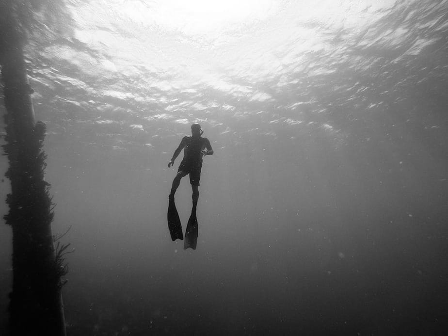 Causes of Freediving Deaths and How to Prevent Them