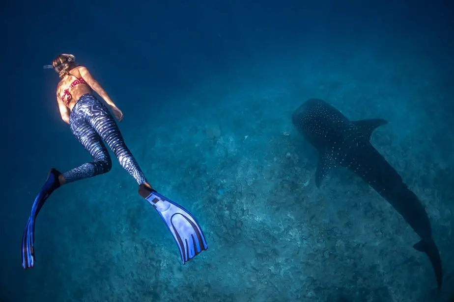 Why Are Freediving Fins So Long?