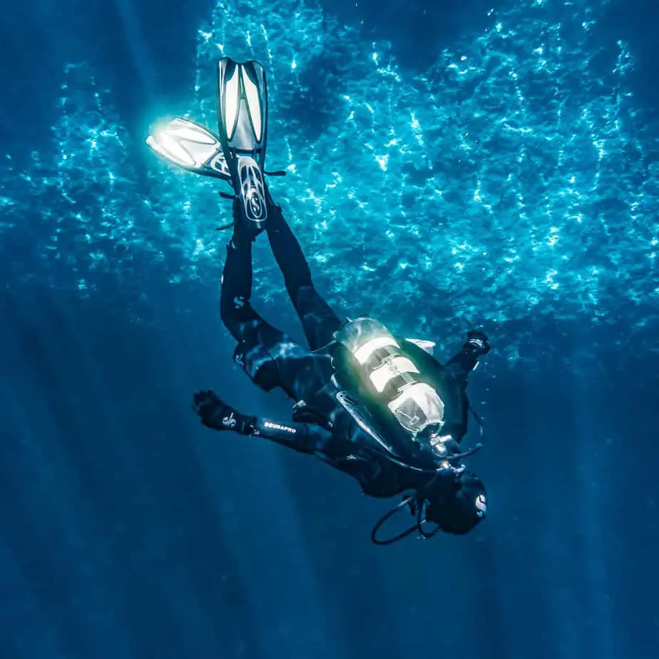 Freediving Fins vs. SCUBA Fins: Which Should You Get?