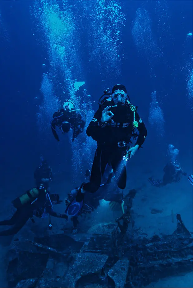 dive buddies