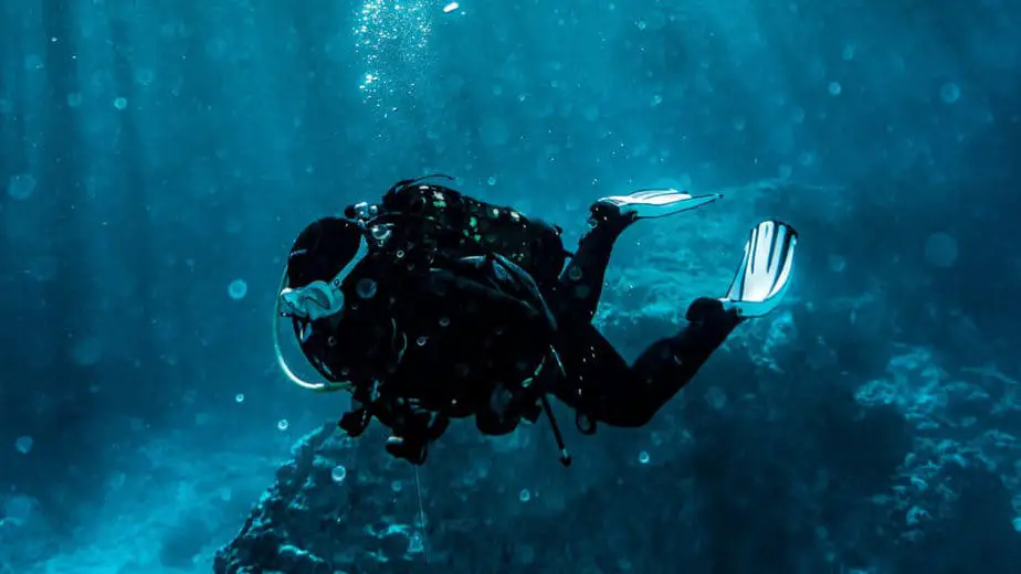 scuba diving fins