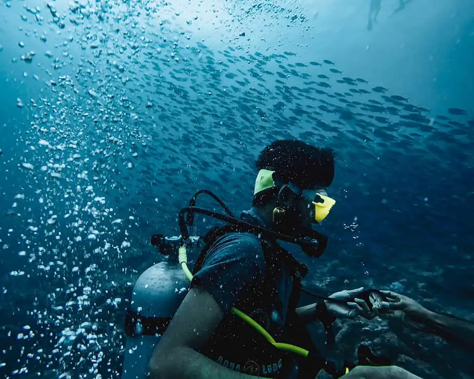 Cressi Leonardo vs. Suunto Zoop Novo Dive Computer