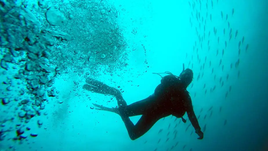 la plongée sous-marine est-elle dangereuse