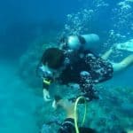 can you scuba dive without a license certification
