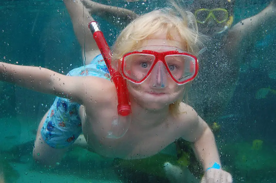 snorkeling age limit