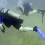 scuba diving for the disabled