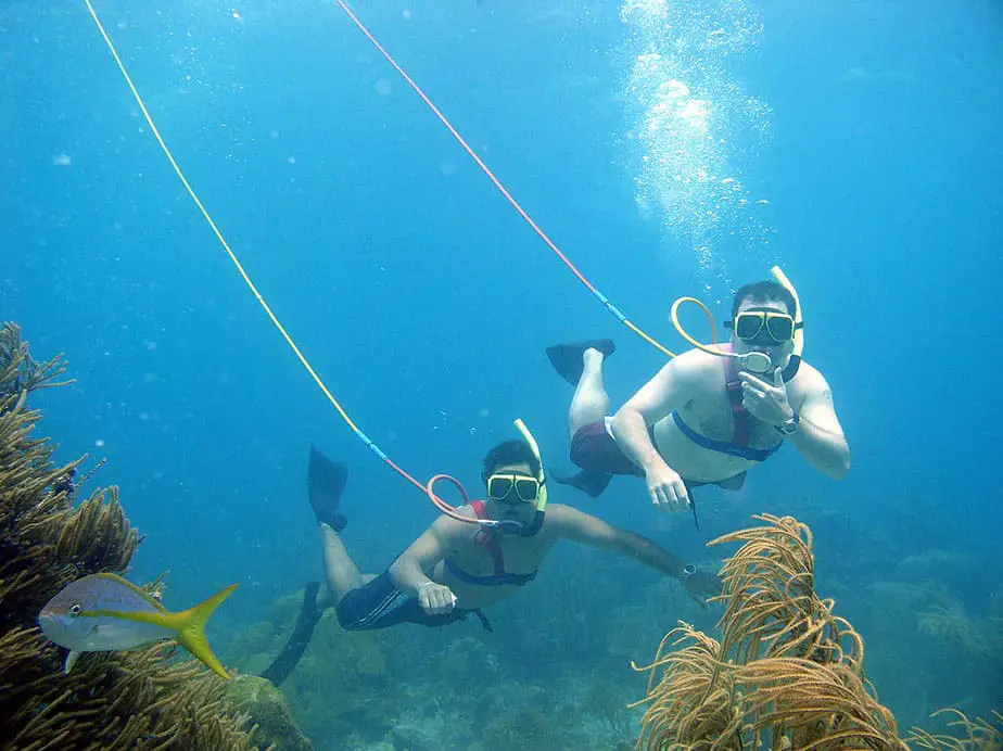 snuba vs snorkeling