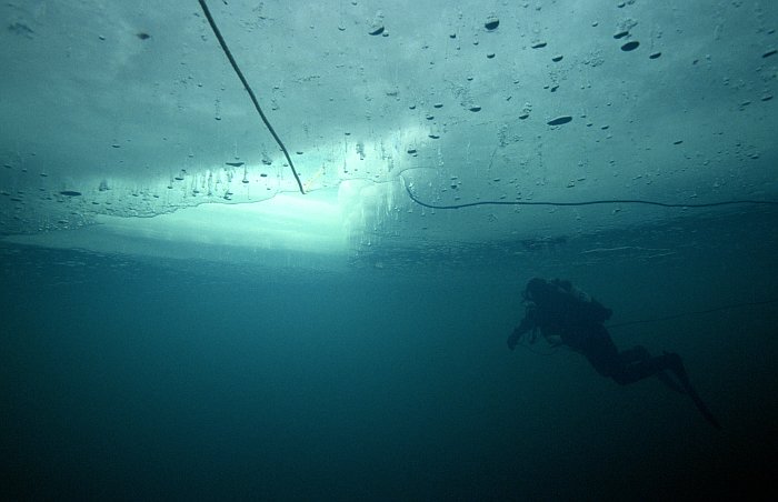 diving under ice floe