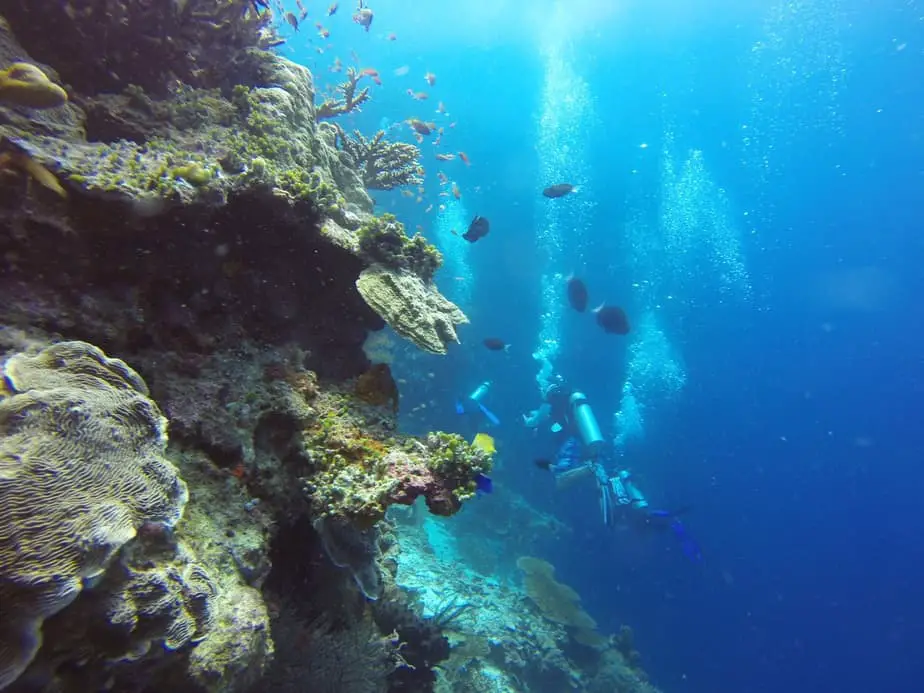 buceo de pared