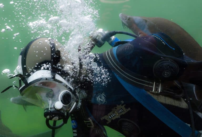 scuba mask seal mustache
