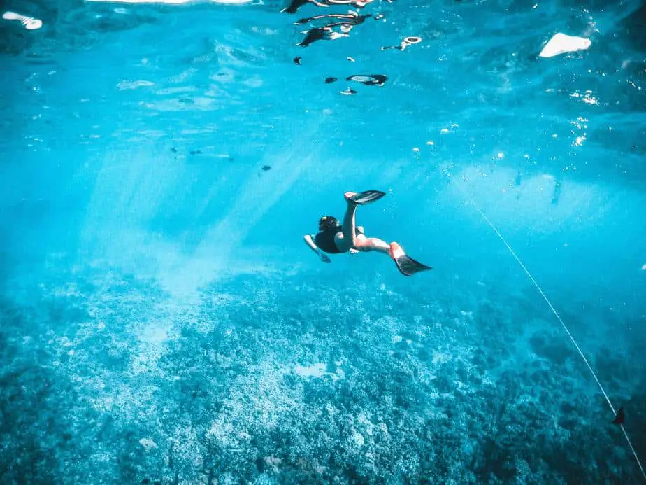 snorkeling at the great barrier reef safe or dangerous