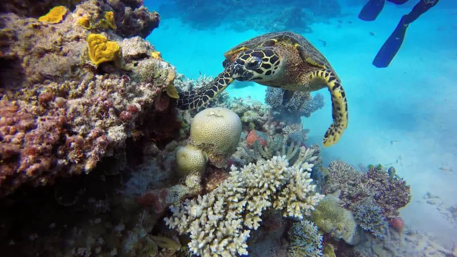 how dangerous is great barrier reef australia