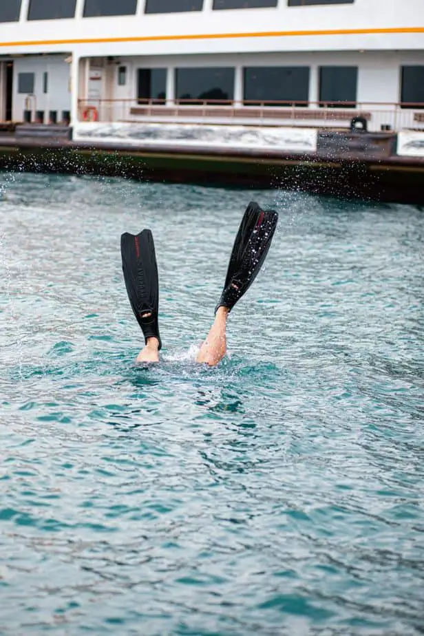 Split Fins vs. Blade Fins Which Design is Better? OpenWaterHQ