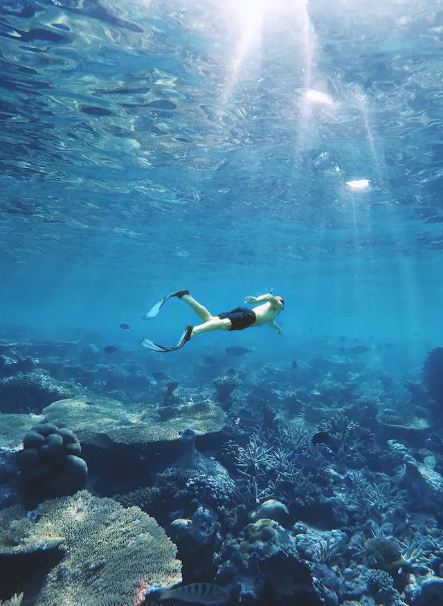 Flippers or Fins for Snorkeling