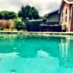How Long Can Water Sit in a Pool Without Chlorine