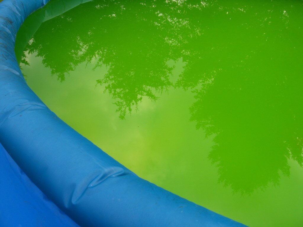Why is My Inflatable Pool Slimy