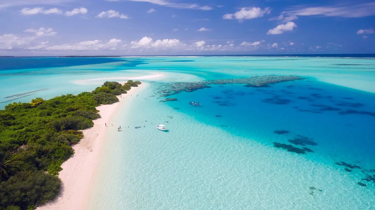 tropical shores maldives