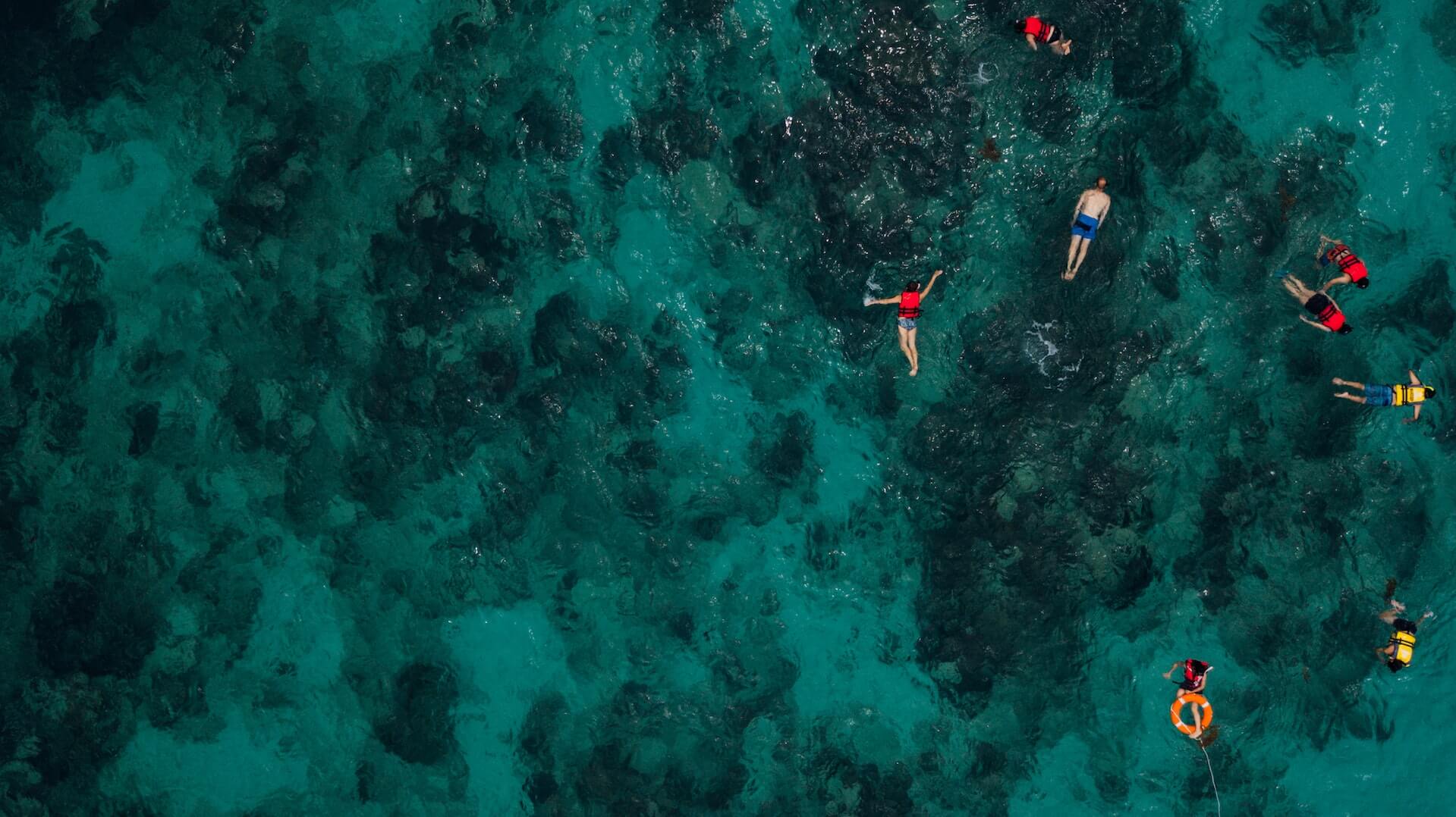 Snorkel Vest vs Life Jacket