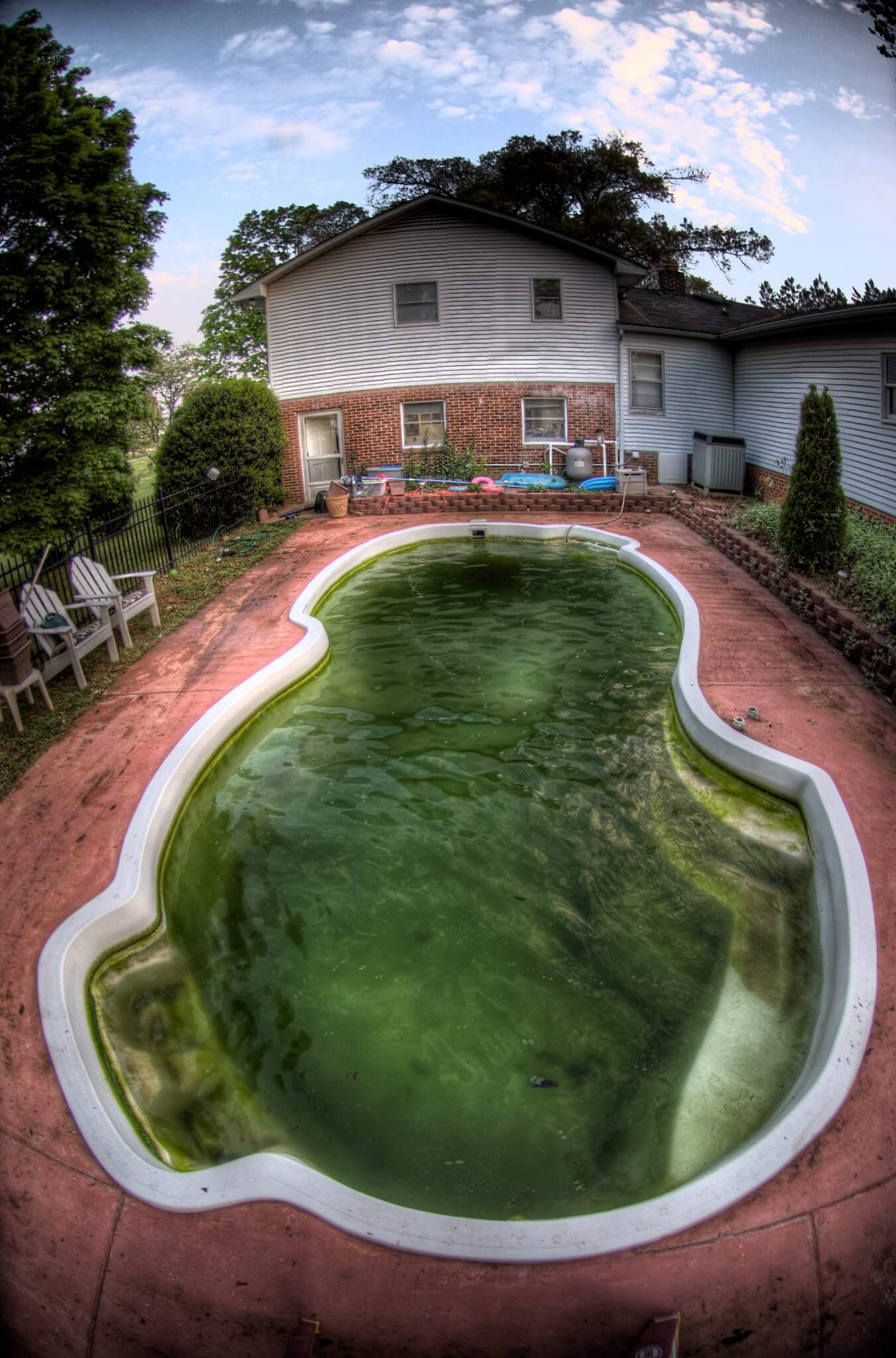 Can You Swim in a Pool with Algae in It