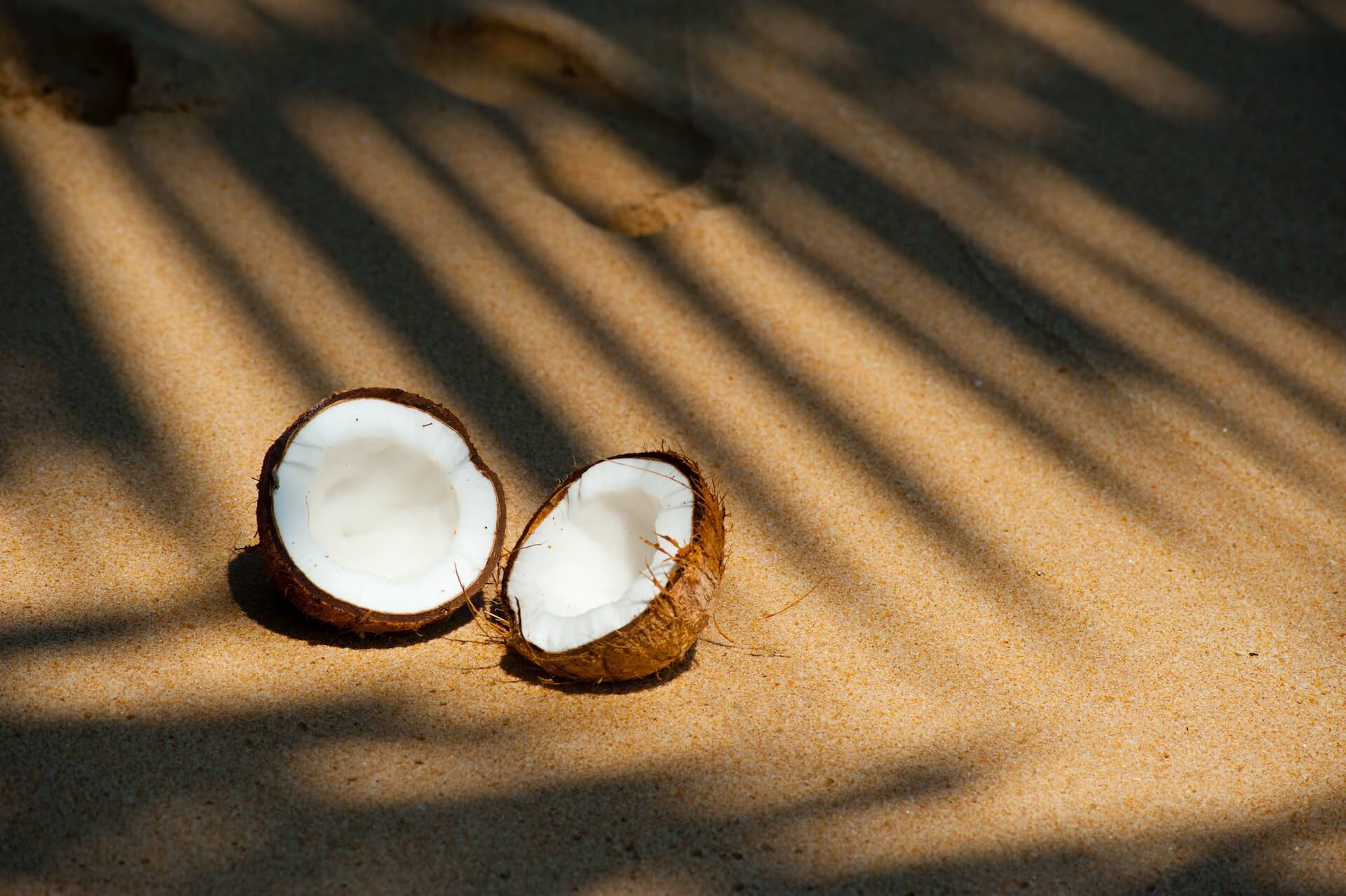 coconut in sand